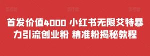 首发价值4000 小红书无限艾特暴力引流创业粉 精准粉揭秘教程-天天有课网
