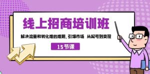 线上·招商培训班，解决流量和转化难的难题 引爆市场 从起号到变现（15节）-天天有课网