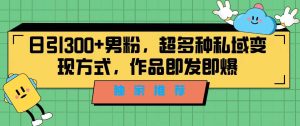 独家推荐!日引300+男粉,超多种私域变现方式,作品即发即报-天天有课网