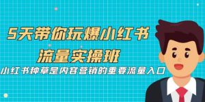 5天带你玩爆小红书流量实操班,小红书种草是内容营销的重要流量入口-天天有课网
