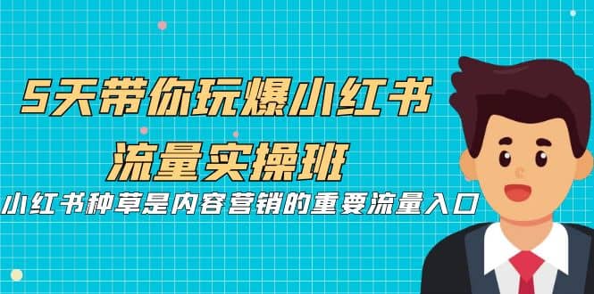 5天带你玩爆小红书流量实操班，小红书种草是内容营销的重要流量入口-天天有课网