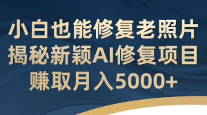 小白也能修复老照片！揭秘新颖AI修复项目，赚取月入5000+-天天有课网