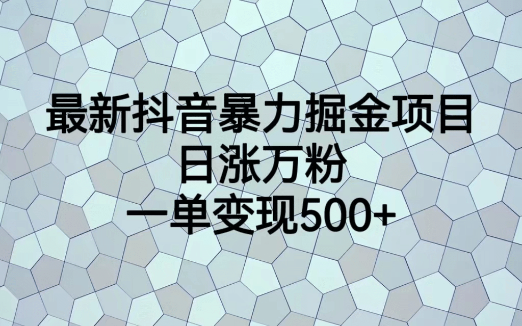 最火热的抖音暴力掘金项目，日涨万粉，多种变现方式，一单变现可达500+-天天有课网