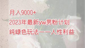 月入9000+2023年9月最新yw男粉计划绿色玩法——人性之利益-天天有课网