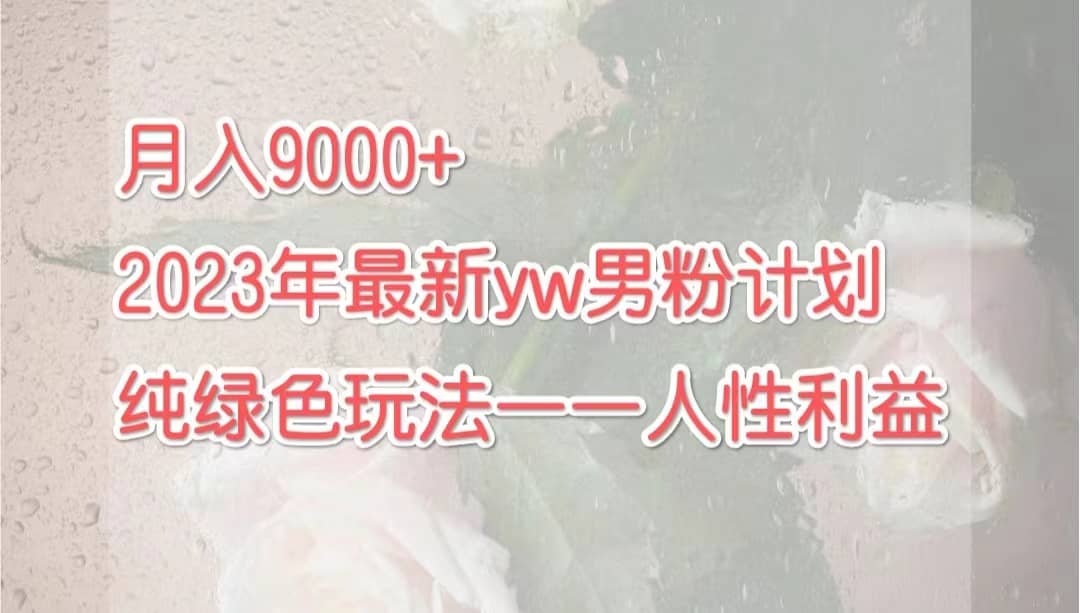 月入9000+2023年9月最新yw男粉计划绿色玩法——人性之利益-天天有课网