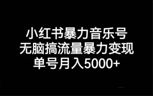 小红书暴力音乐号，无脑搞流量暴力变现，单号月入5000+-天天有课网