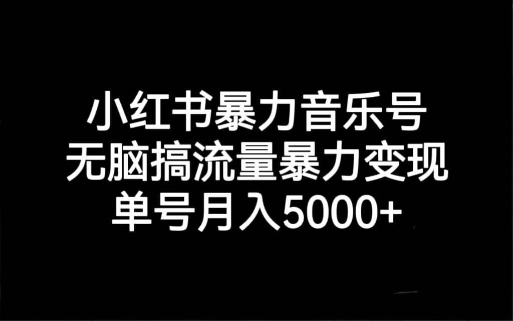 小红书暴力音乐号，无脑搞流量暴力变现，单号月入5000+-天天有课网