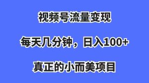 视频号流量变现，每天几分钟，收入100+，真正的小而美项目-天天有课网