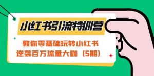 小红书引流特训营-第5期:教你零基础玩转小红书,逆袭百万流量大咖-天天有课网