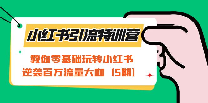 小红书引流特训营-第5期：教你零基础玩转小红书，逆袭百万流量大咖-天天有课网