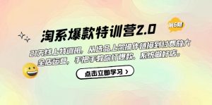 淘系爆款特训营2.0【第六期】从选品上架到付费放大 全店运营 打爆款 做好店-天天有课网