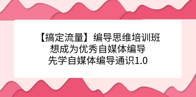 【搞定流量】编导思维培训班，想成为优秀自媒体编导先学自媒体编导通识1.0-天天有课网
