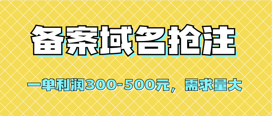【全网首发】备案域名抢注，一单利润300-500元，需求量大-天天有课网