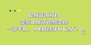 最新蓝海项目,靠禁止废话视频变现,一部手机,小白轻松月入过万!-天天有课网
