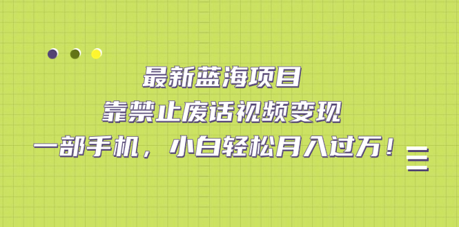 最新蓝海项目，靠禁止废话视频变现，一部手机，小白轻松月入过万！-天天有课网