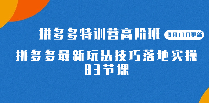 2023拼多多·特训营高阶班【9月13日更新】拼多多最新玩法技巧落地实操-83节-天天有课网