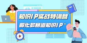 知识IP实战特训营,孵化-多赛道知识IP(33节课)-天天有课网