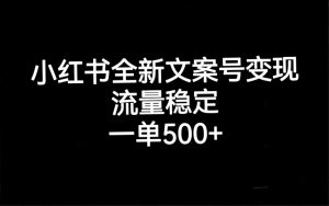 小红书全新文案号变现，流量稳定，一单收入500+-天天有课网