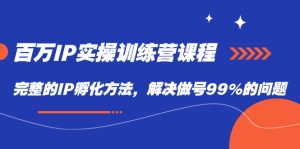 百万IP实战训练营课程,完整的IP孵化方法,解决做号99%的问题-天天有课网
