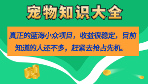 真正的蓝海小众项目，宠物知识大全，收益很稳定（教务+素材）-天天有课网