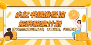 小红书精准引流·矩阵陪跑计划:烧了200w得出的经验,手握流量,兴风作浪!-天天有课网