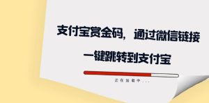 全网首发：支付宝赏金码，通过微信链接一键跳转到支付宝-天天有课网