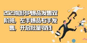 2023知识IP-爆品发售双 阶班,左手爆品右手发售,开启批量收钱-天天有课网