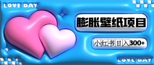 小红书膨胀壁纸项目玩法，女生最爱的壁纸，0门槛新手也可操作日入300+-天天有课网