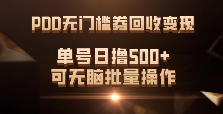 PDD无门槛券回收变现，单号日撸500+，可无脑-天天有课网
