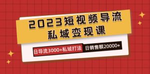 2023短视频导流·私域变现课,日导流3000+私域打法 日销售额2w+-天天有课网
