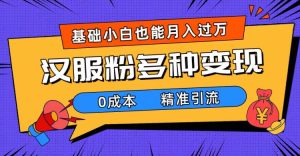一部手机精准引流汉服粉,0成本多种变现方式,小白月入过万(附素材+工具)-天天有课网
