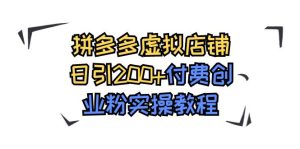 拼多多虚拟店铺日引200+付费创业粉实操教程-天天有课网