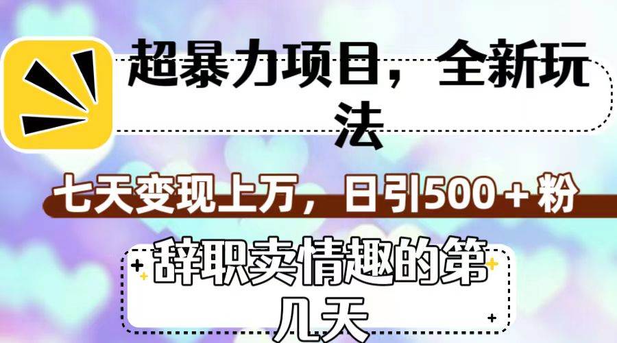超暴利项目，全新玩法（辞职卖情趣的第几天），七天变现上万，日引500+粉-天天有课网