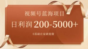 视频号蓝海项目，0基础在家也能做，一天200-5000+【附266G资料】-天天有课网