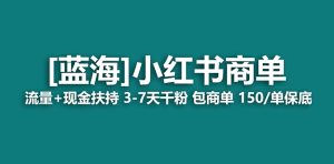 【蓝海项目】小红书商单项目，7天就能接广告变现，稳定一天500+保姆级玩法-天天有课网