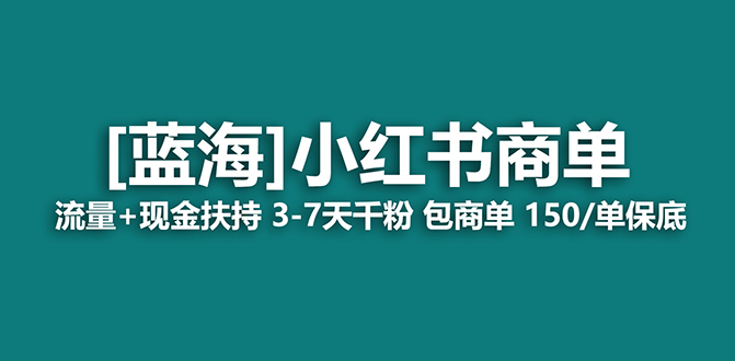 【蓝海项目】小红书商单项目，7天就能接广告变现，稳定一天500+保姆级玩法-天天有课网