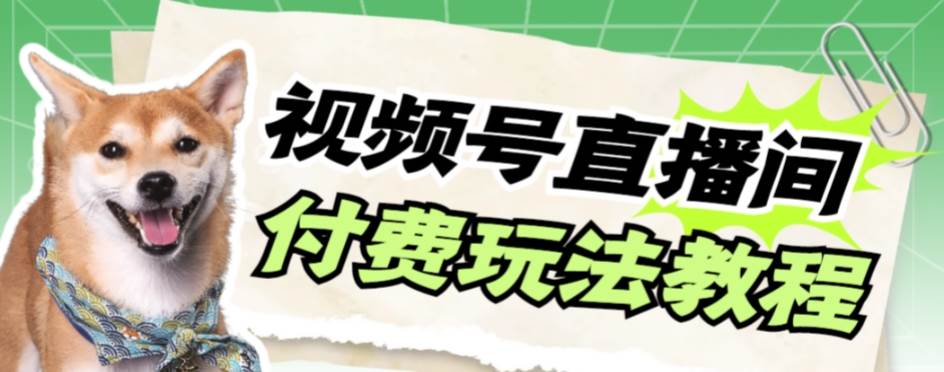 视频号美女付费无人直播，轻松日入500+【详细玩-天天有课网