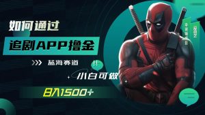 如何通过追剧APP撸金,日入1500+(附素材)-天天有课网