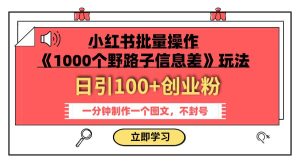 小红书批量操作《1000个野路子信息差》玩法 日引100+创业粉 一分钟一个图文-天天有课网