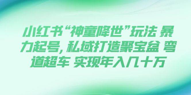 小红书“神童降世”玩法 暴力起号,私域打造聚宝盆 弯道超车 实现年入几十万-天天有课网