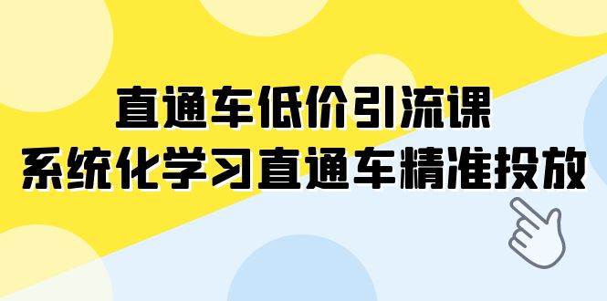 直通车-低价引流课，系统化学习直通车精准投放（14节课）-天天有课网
