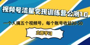 视频号流量变现训练营公测1.0:一个人搞五个视频号,每个账号收益30-50-天天有课网