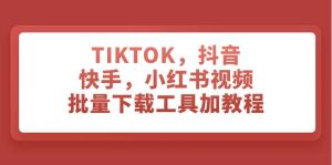 TIKTOK，抖音，快手，小红书视频批量下载工具加教程-天天有课网
