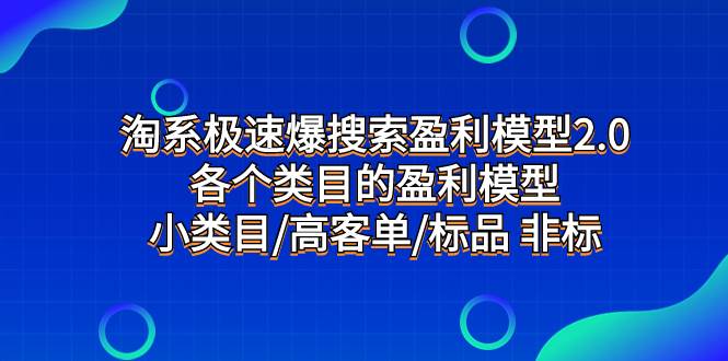 淘系极速爆搜索盈利模型2.0，各个类目的盈利模型，小类目/高客单/标品 非标-天天有课网