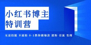 小红书博主爆款特训营-11期 无需技能 不露脸 0-1教你做爆款 涨粉 引流 变现-天天有课网