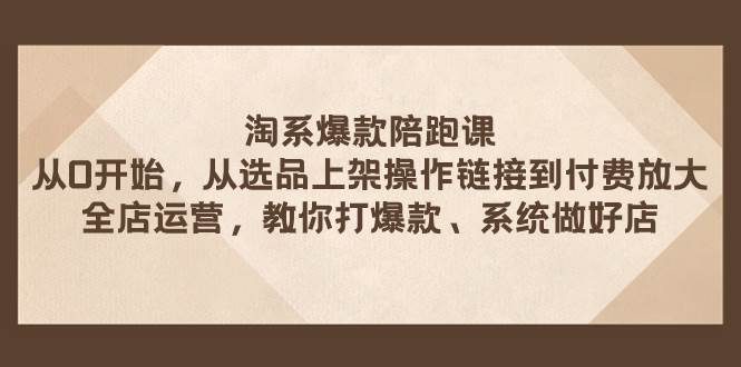 淘系爆款陪跑课 从选品上架操作链接到付费放大 全店运营 打爆款 系统做好店-天天有课网