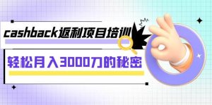 cashback返利项目培训:轻松月入3000刀的秘密(8节课)-天天有课网