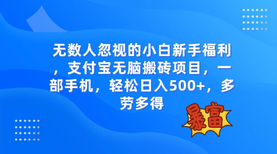 无数人忽视的项目，支付宝无脑搬砖项目，一部手机即可操作，轻松日入500+-天天有课网