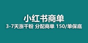 【蓝海项目】2023最强蓝海项目,小红书商单项目,没有之一!-天天有课网