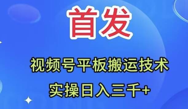 全网首发：视频号平板搬运技术，实操日入三千＋-天天有课网